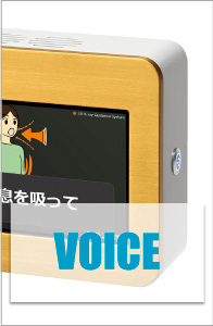 VOICE